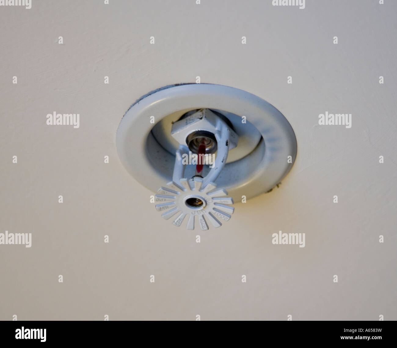 Fire sprinkler on the ceiling Stock Photo Alamy