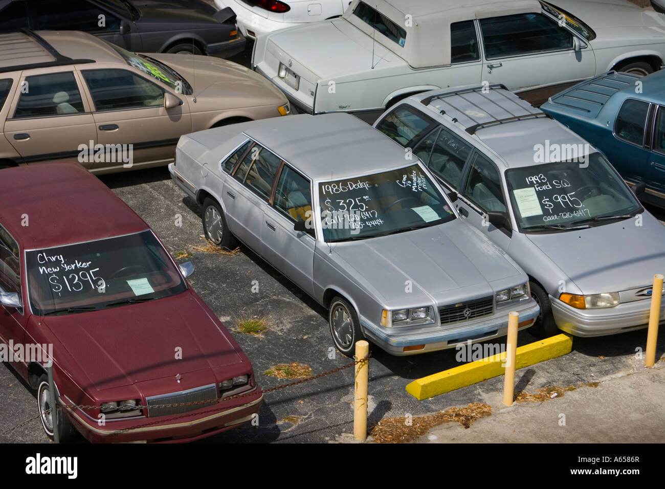 Cars for sale at a used car lot Stock Photo Alamy