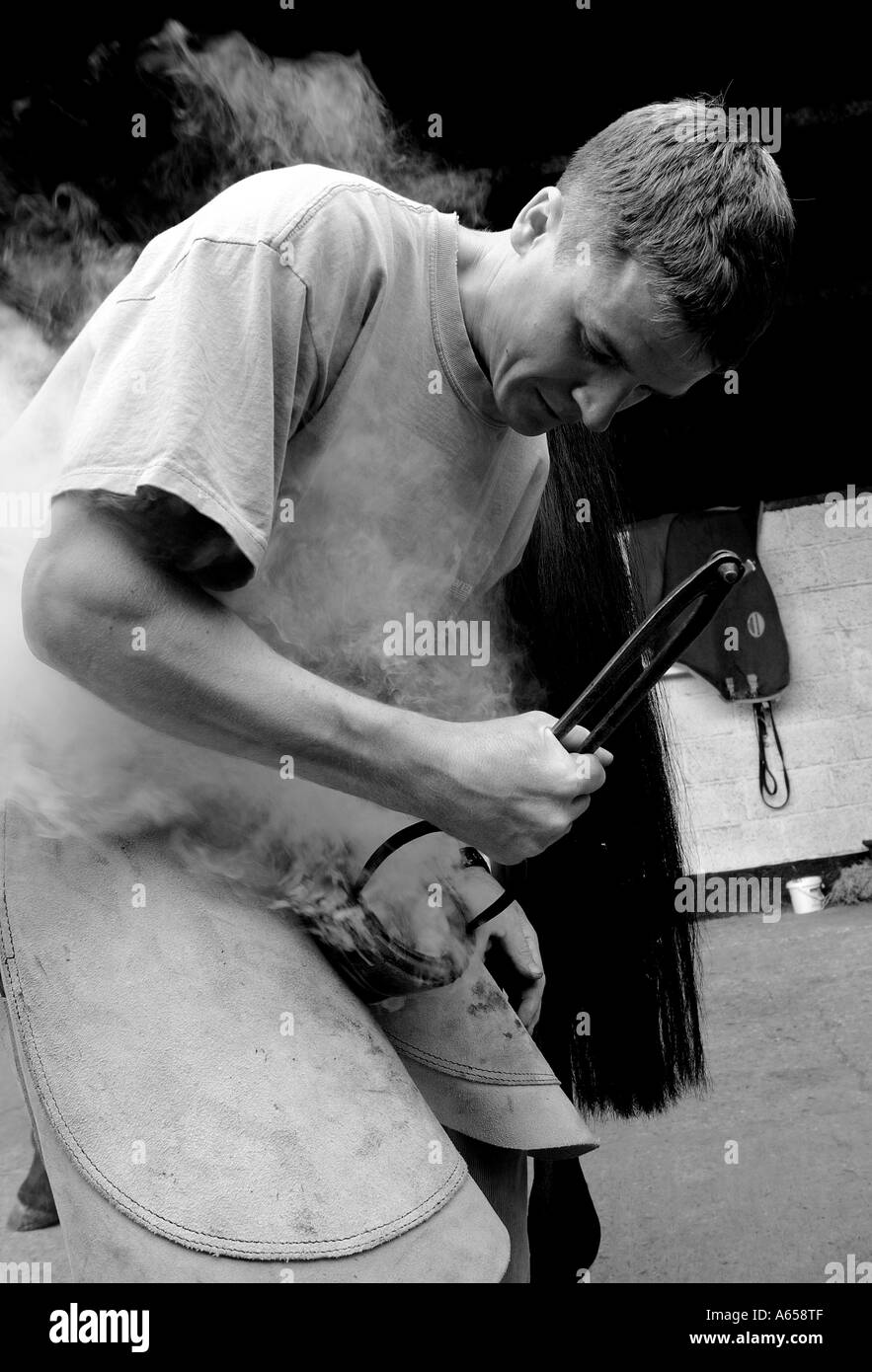 Farrier, burning in monochrome Stock Photo Alamy