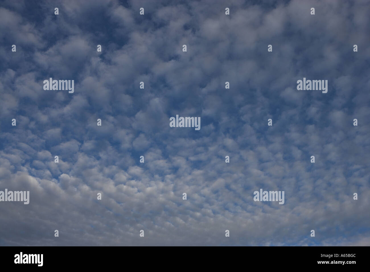 Blue Sky with Fluffy White Clouds Stock Photo - Alamy