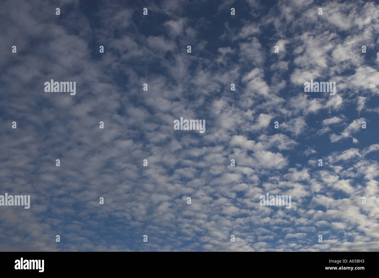Blue Sky with Fluffy White Clouds Stock Photo - Alamy