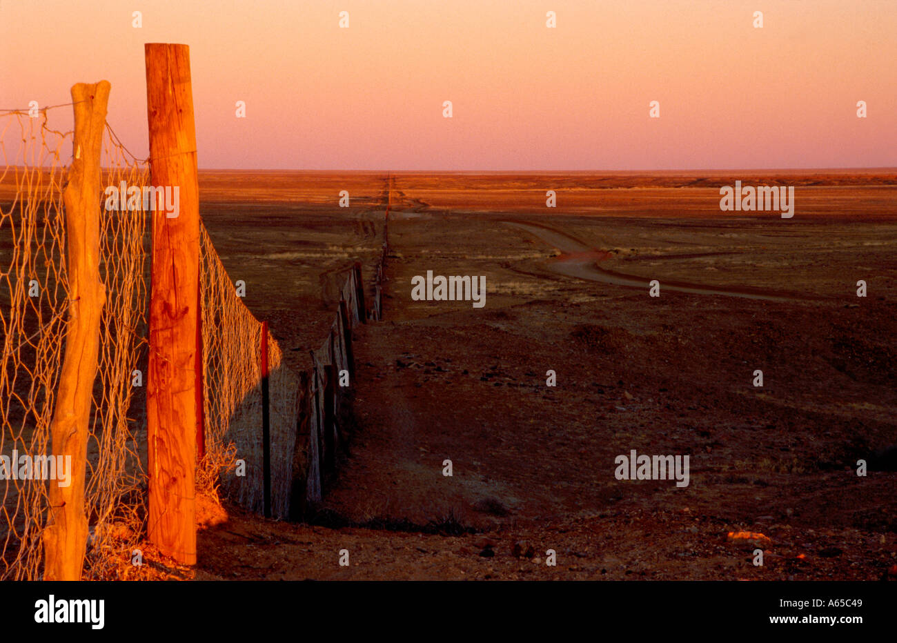 Dingo Fence at Sunset Australia Stock Photo Alamy