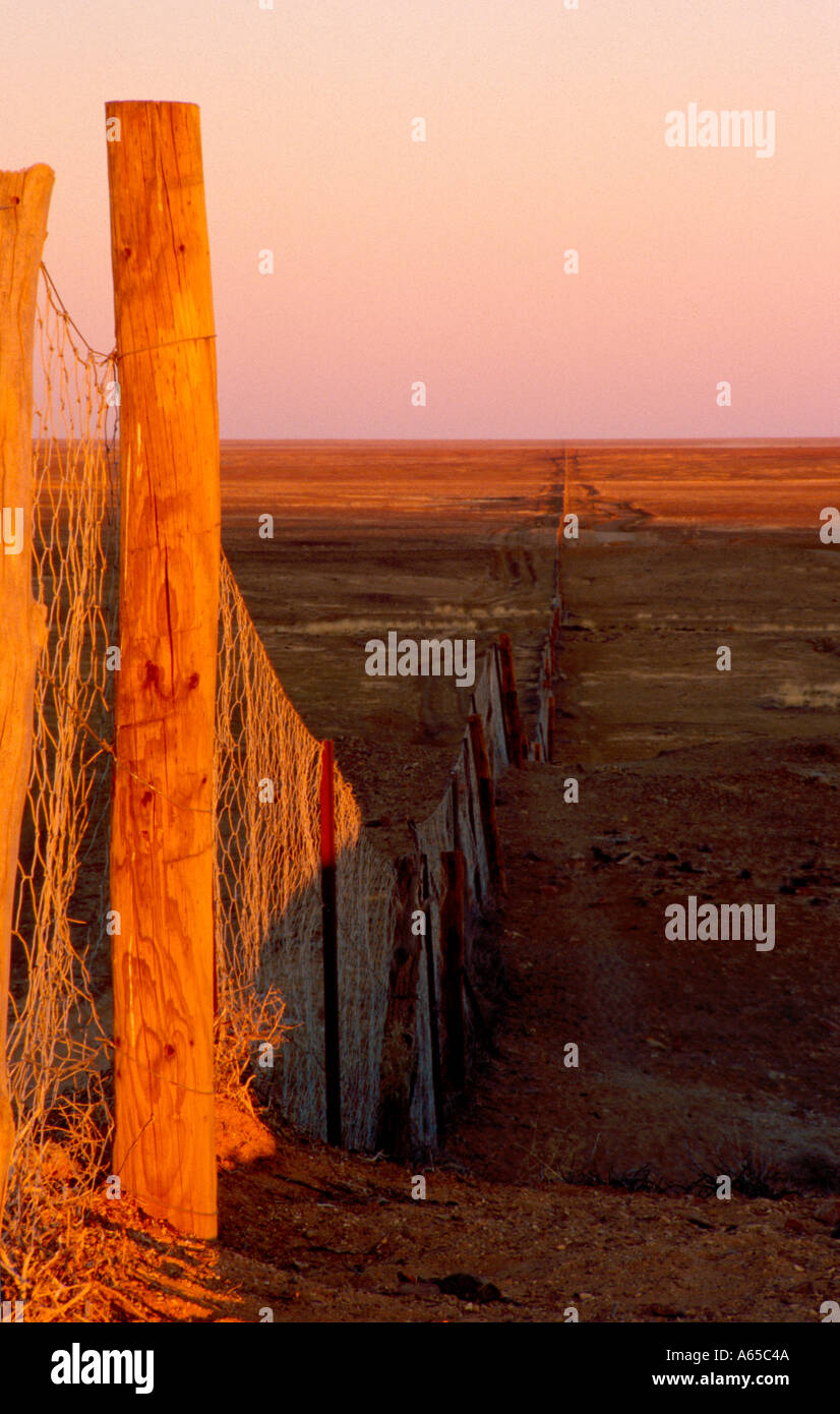 Dingo Fence at Sunset Australia Stock Photo Alamy