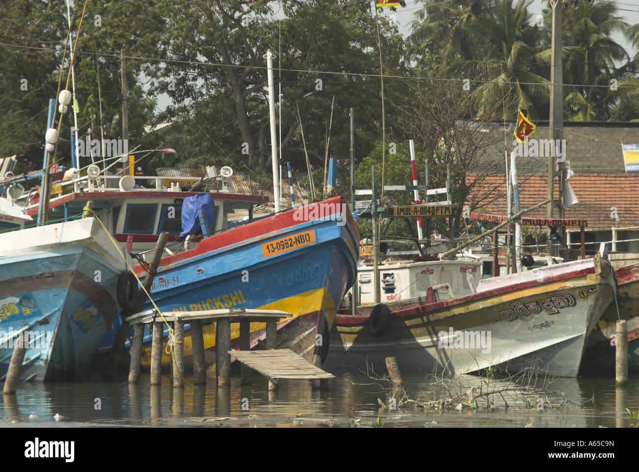 Fishing harbour Negombo Sri Lanka Stock Photo - Alamy