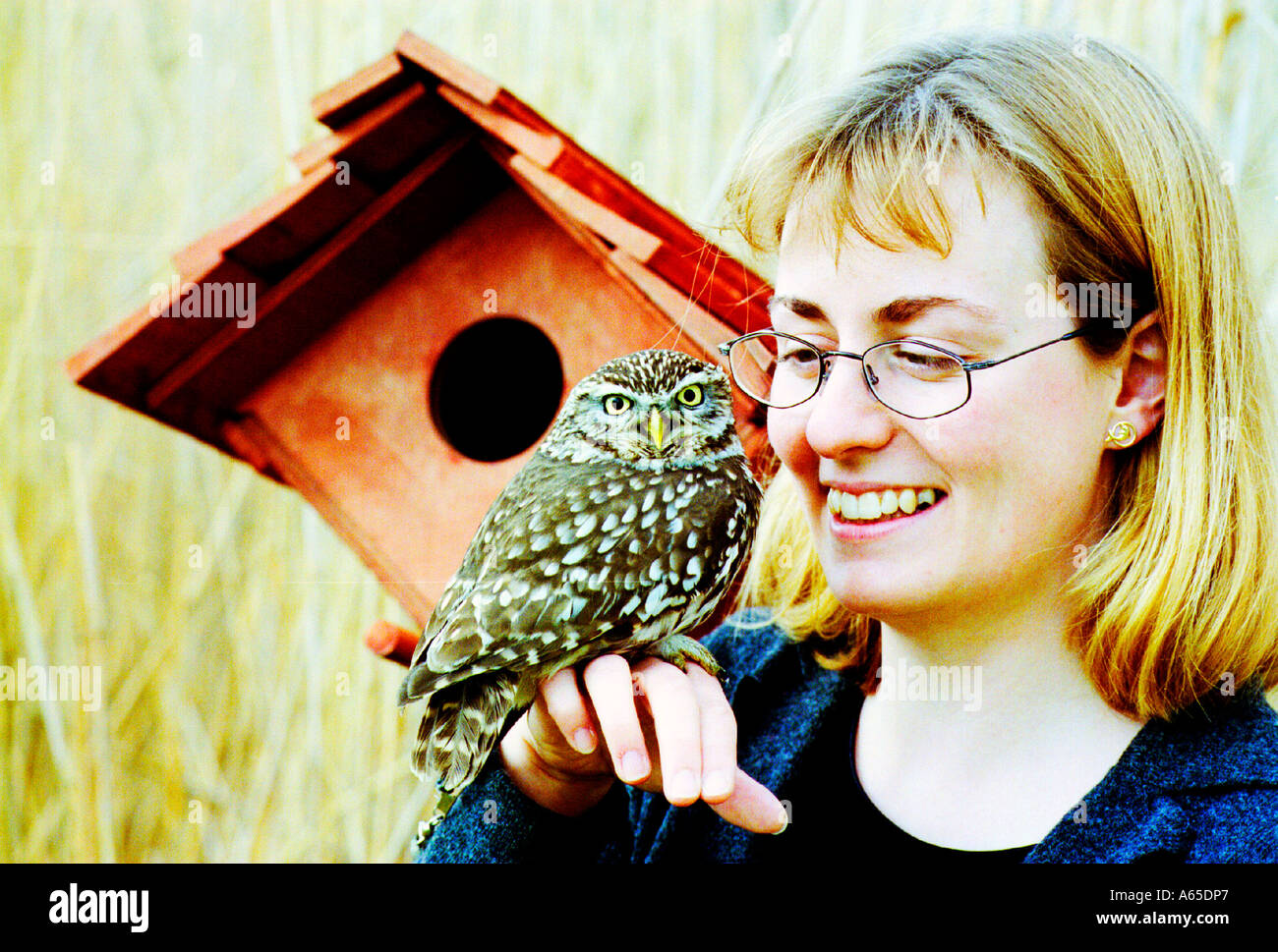 Rare Little Owl sitting on the hand of  blonde lady scientist Stock Photo