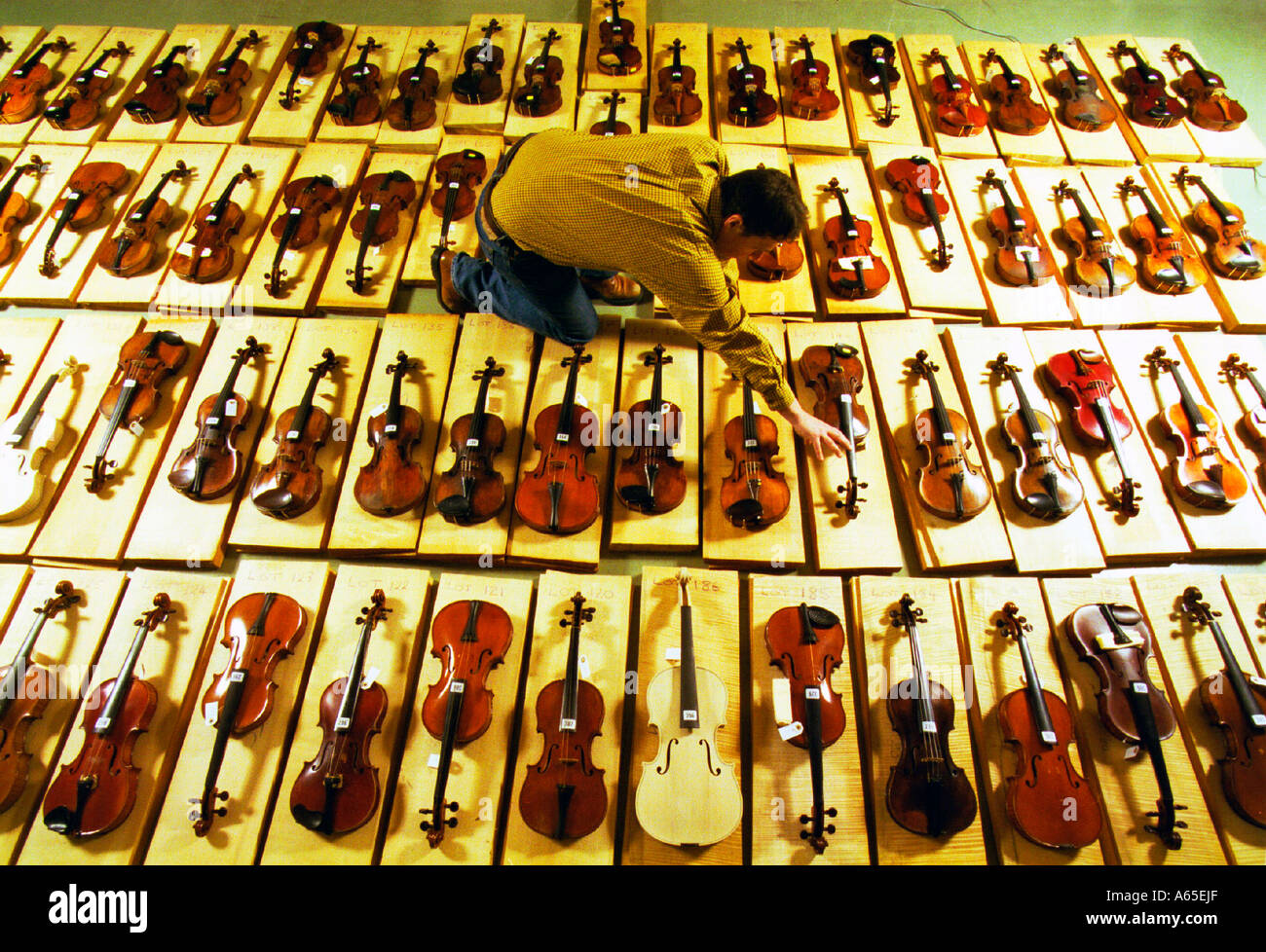 Many violins hi-res stock photography and images - Alamy