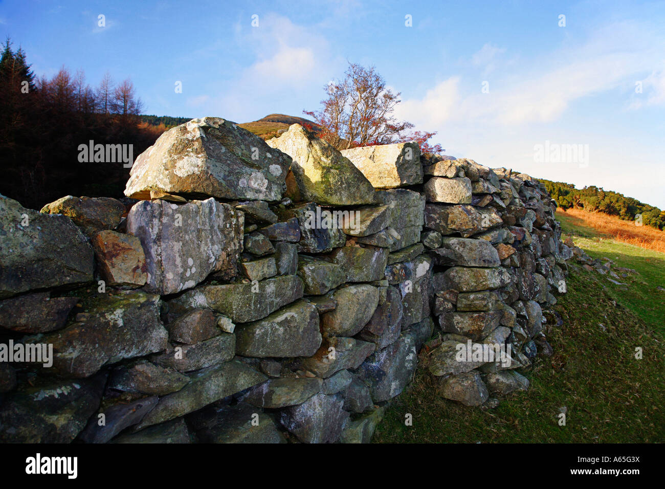 Dry Stone Wall Ireland Stock Photo