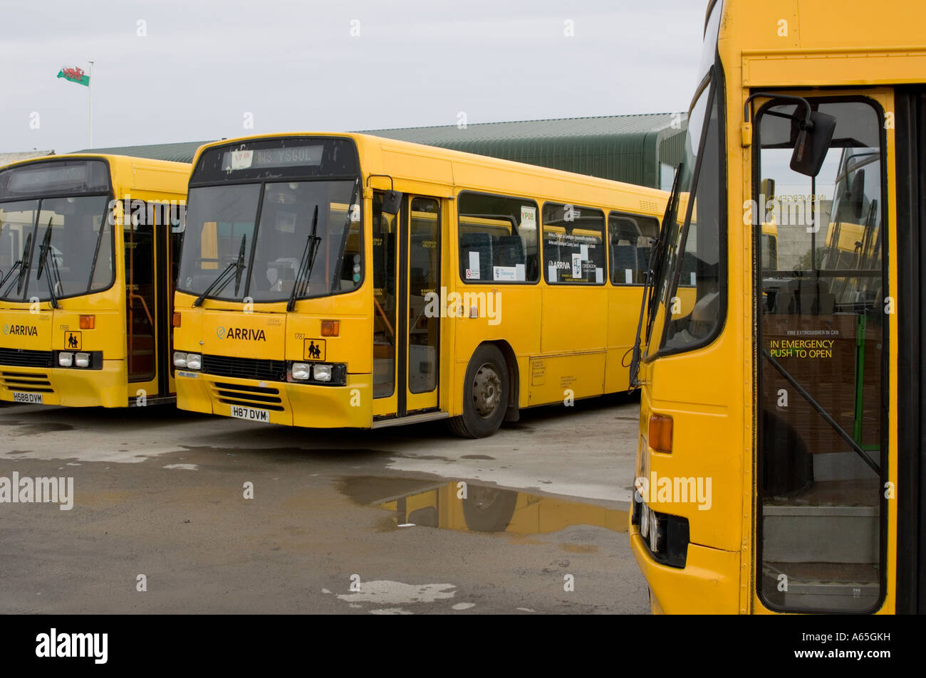 Arriva wales yellow painted school buses parked in depot Stock Photo