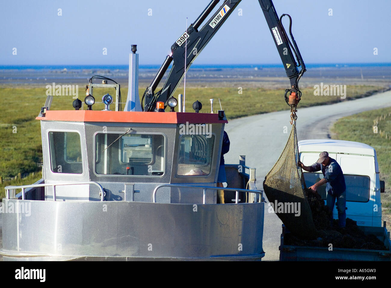 AMPHIBIAN TRUCK UNLOADING MUSSELS GATHERING BRITTANY FRANCE Stock Photo