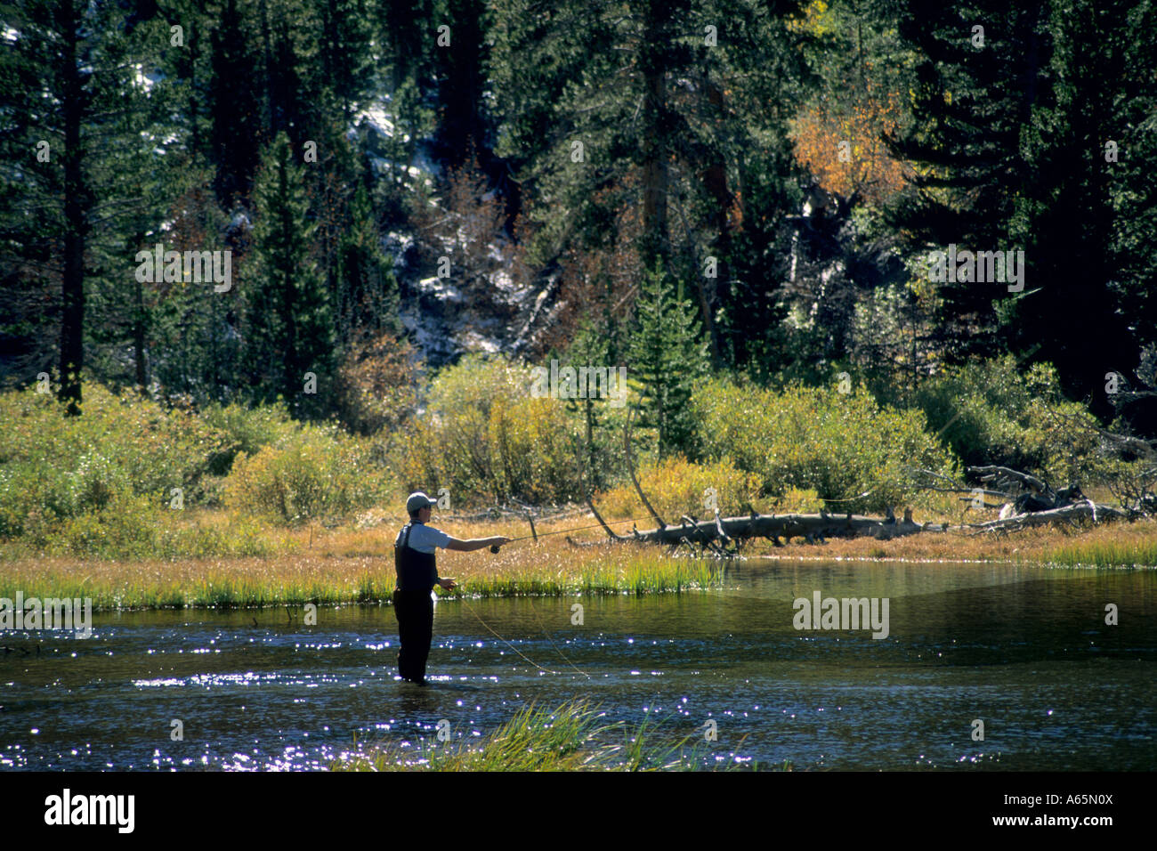 Fly fishing in Creek below South Lake, near Eastern