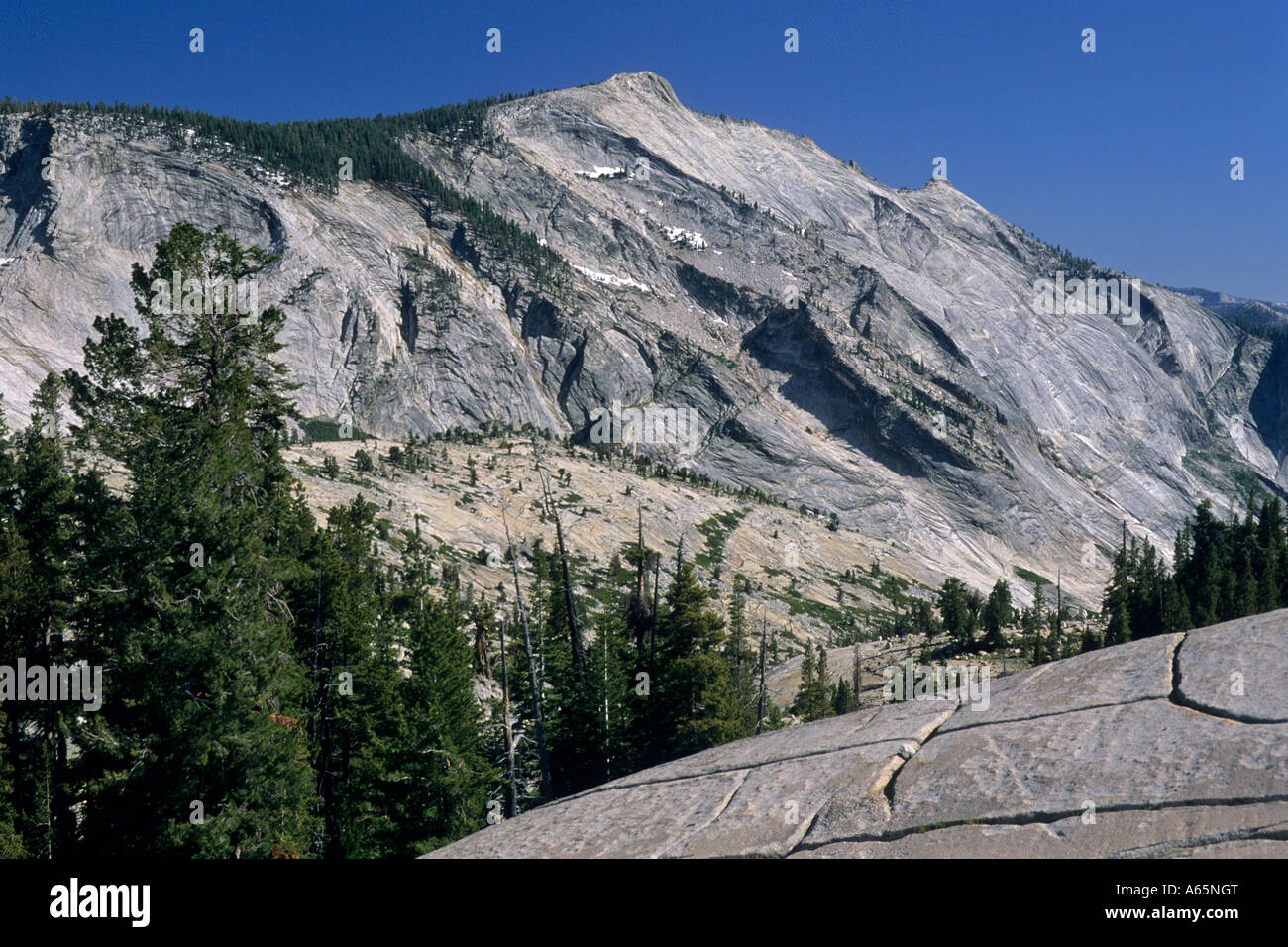 Huge granite escarpment of Clouds Rest from Olmsted Point Tioga Pass Road Yosemite National Park CALIFORNIA Stock Photo
