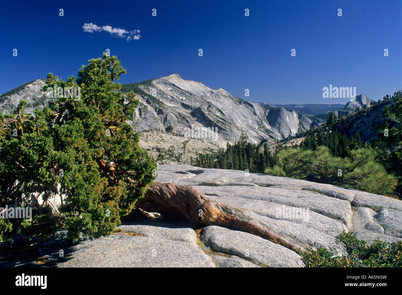 Huge granite escarpment of Clouds Rest from Olmsted Point Tioga Pass Road Yosemite National Park CALIFORNIA Stock Photo