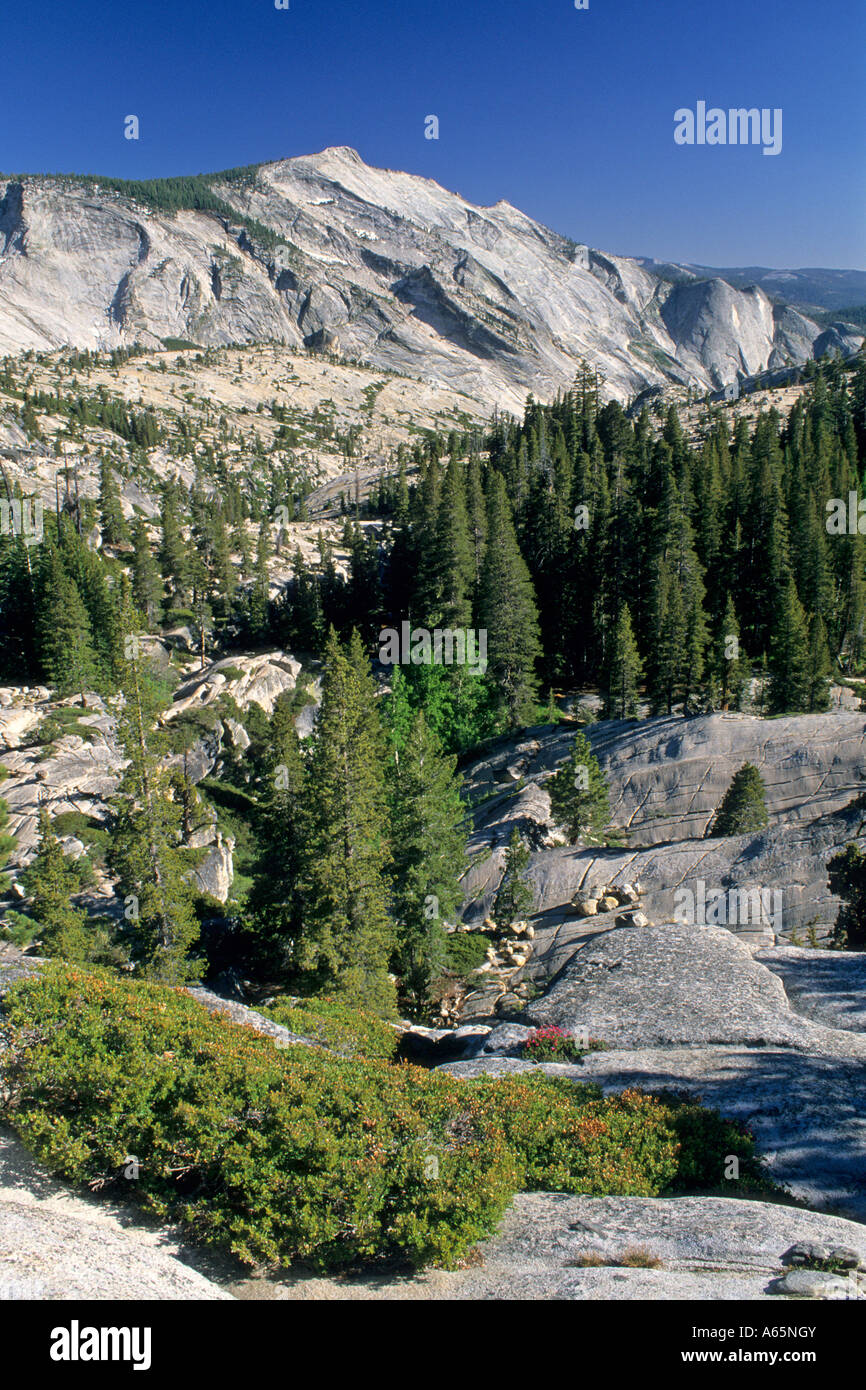 Huge granite escarpment of Clouds Rest, from Olmsted Point, Tioga Pass Road, Yosemite National Park, CALIFORNIA Stock Photo