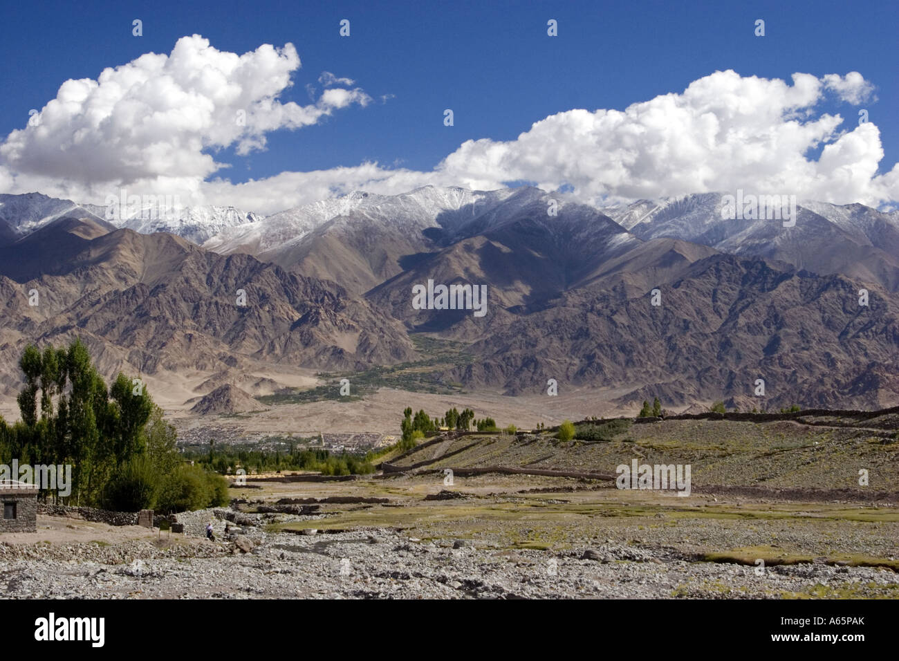 Panoramic view on a fertile valley in the Himalayan region of Ladakh
