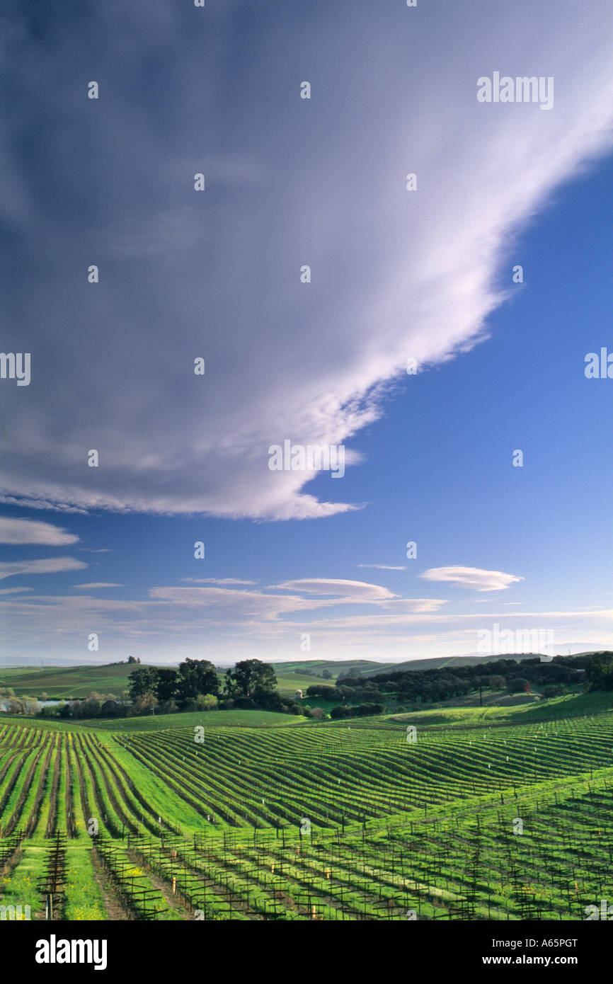 Artesia hires stock photography and images Alamy