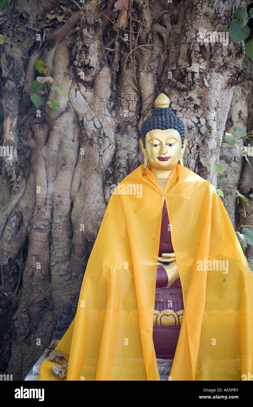 Buddha statue at a temple in Thailand Stock Photo - Alamy