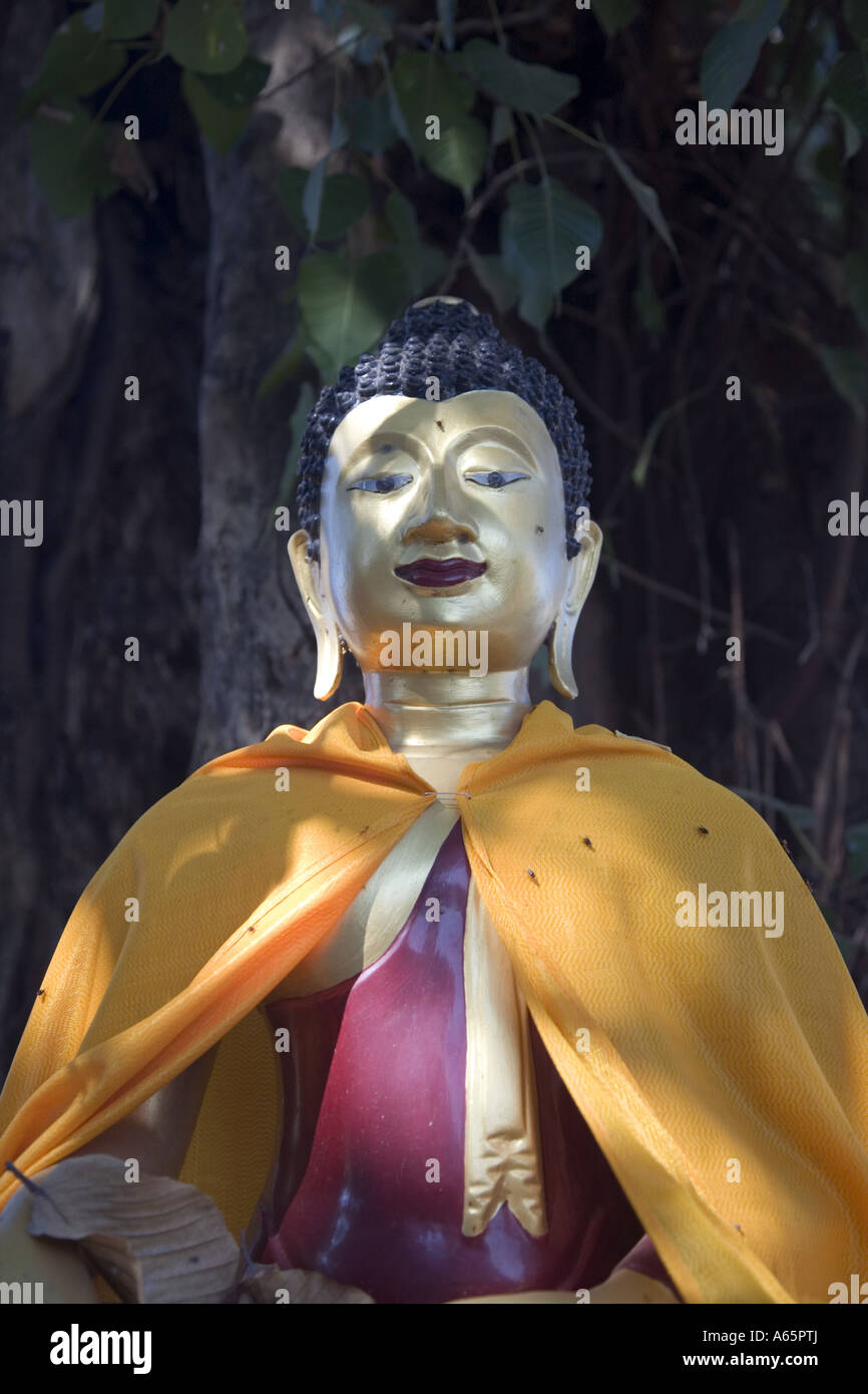 Buddha statue at a temple in Thailand Stock Photo - Alamy