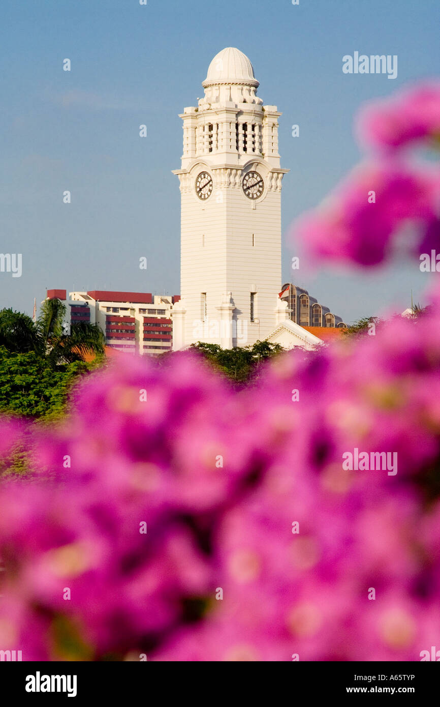Town hall clock tower hi-res stock photography and images - Alamy