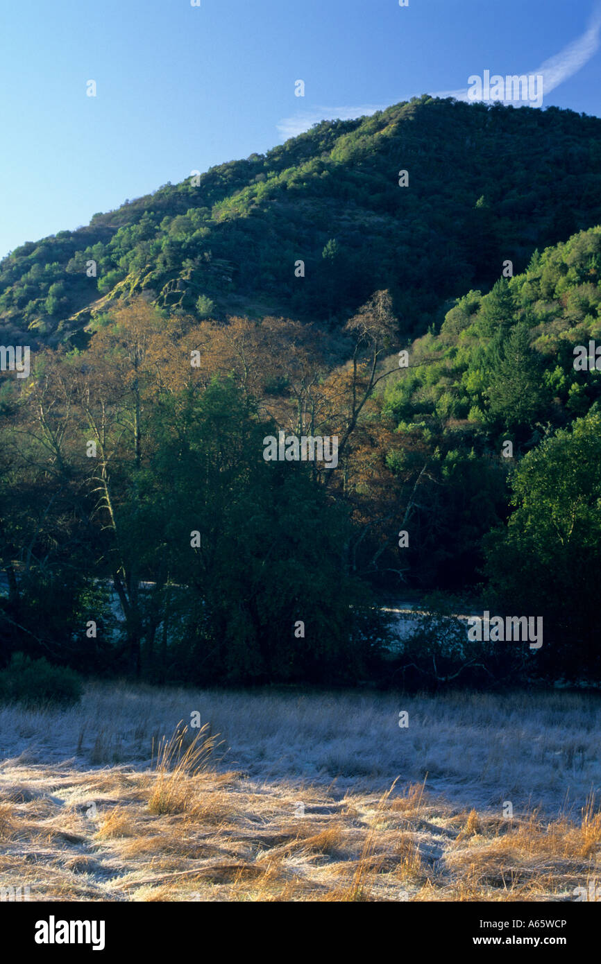 Winter morning Sugarloaf Ridge State Park Sonoma County California ...