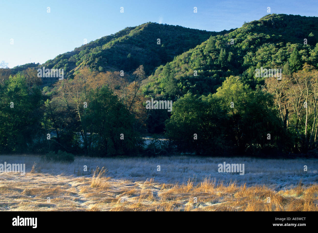 Winter morning Sugarloaf Ridge State Park Sonoma County California ...