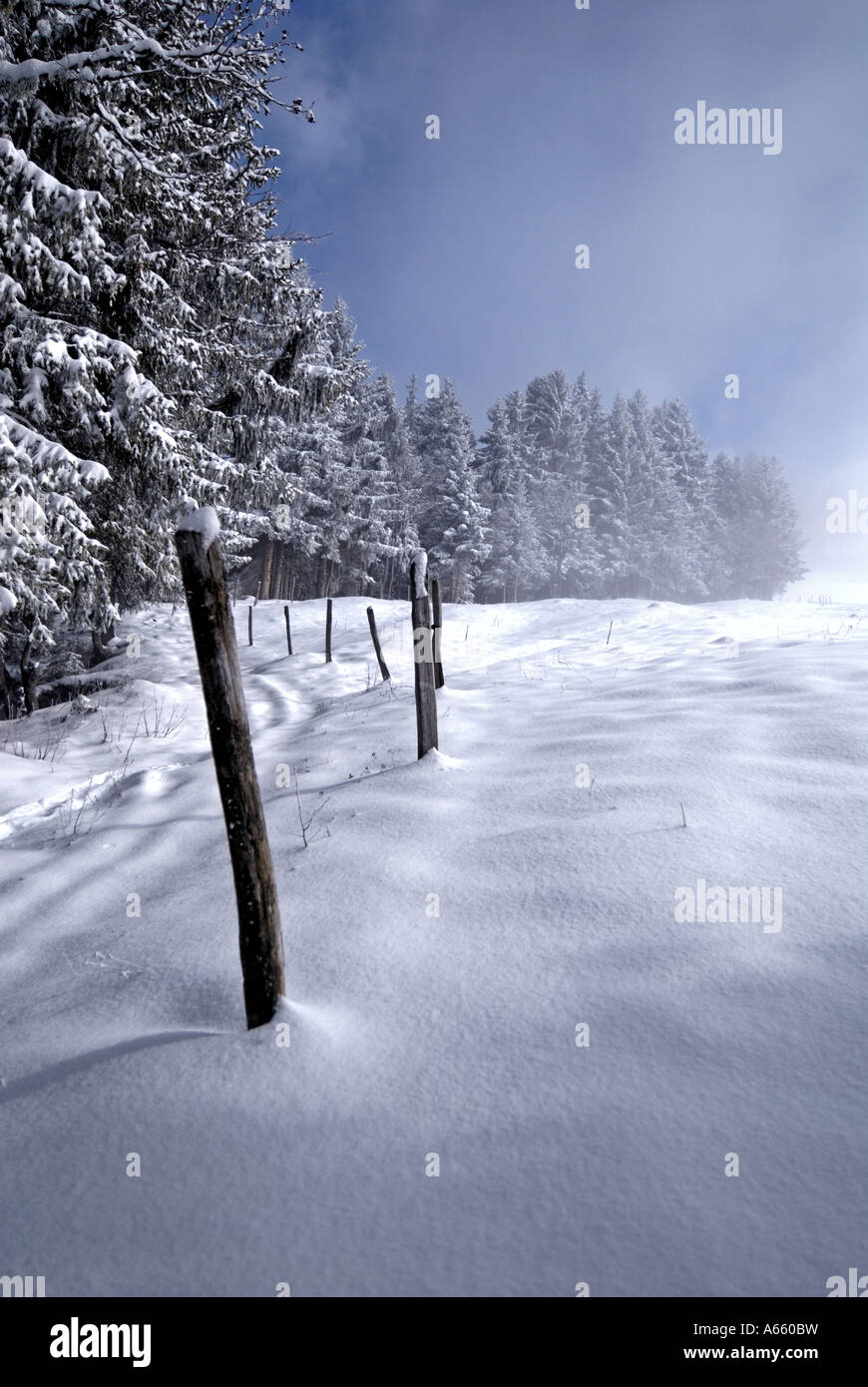 Snowy scene Villars sur Ollon Switzerland Alps Stock Photo