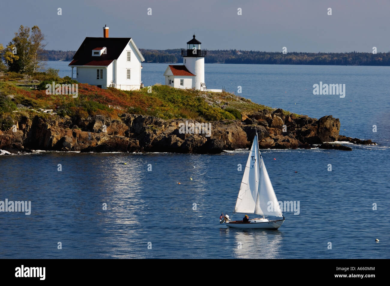 Sailboat Passing Curtis Island Lighthouse Near Camden Maine Stock Photo