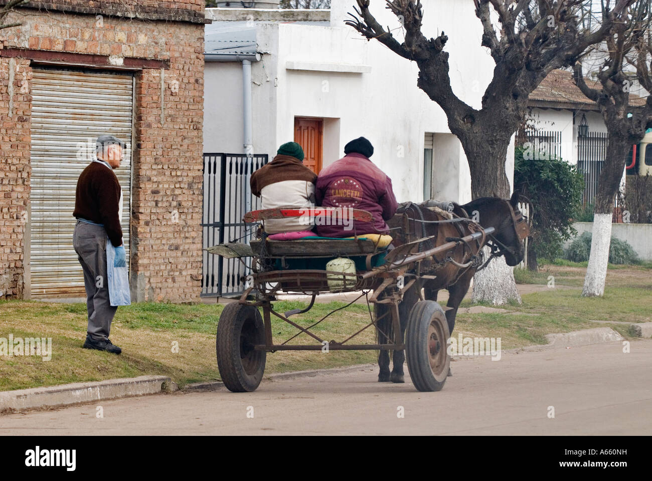 Couple in Pony Cart Talking to Older Man on the Tree Lined Street of the Small Village of Lincoln Buenos Aires Argentina Stock Photo