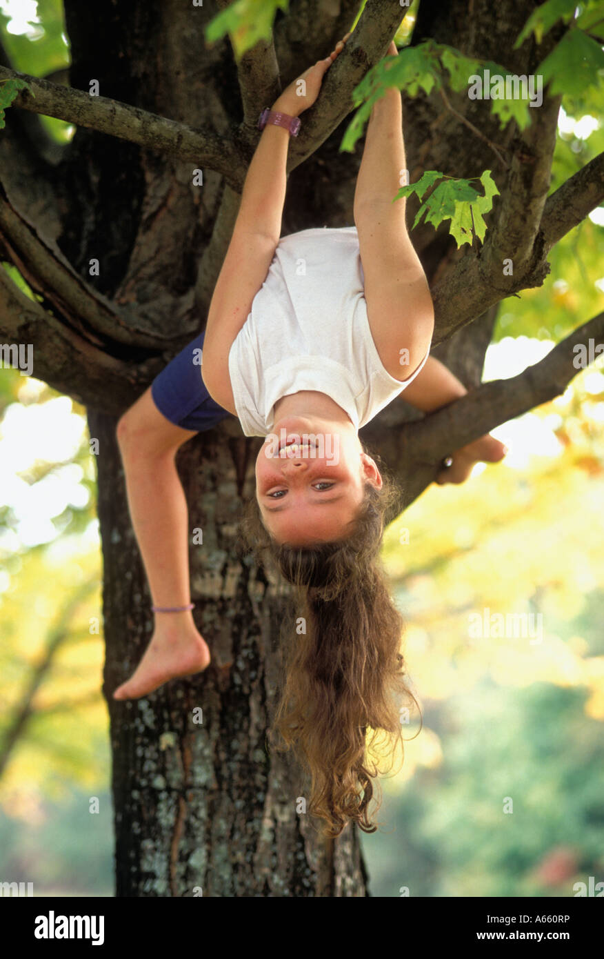 Young Girl Hanging Upside Down from Tree Limb and Smiling at Camera Stock Photo