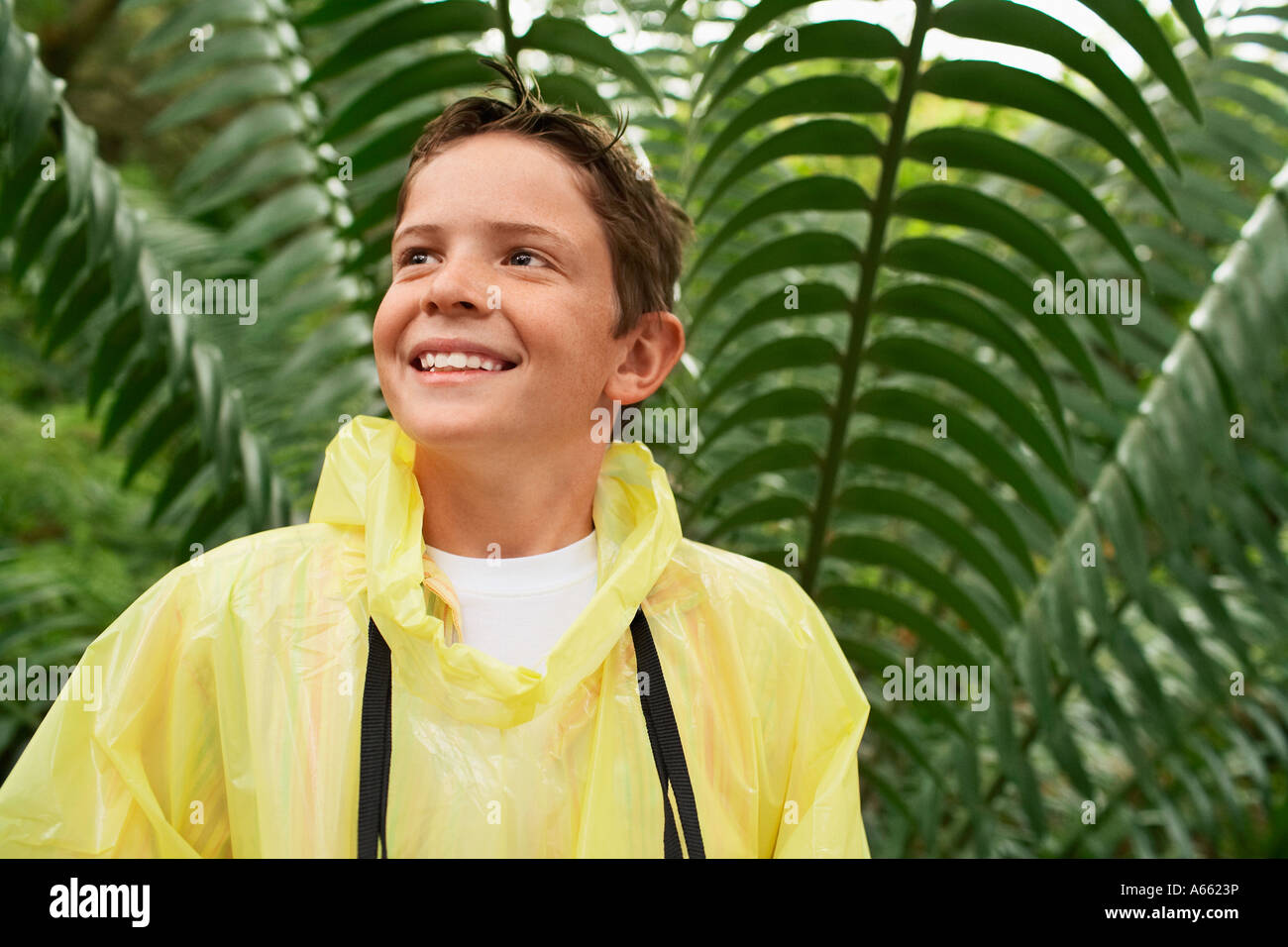 Boy in Forest Stock Photo