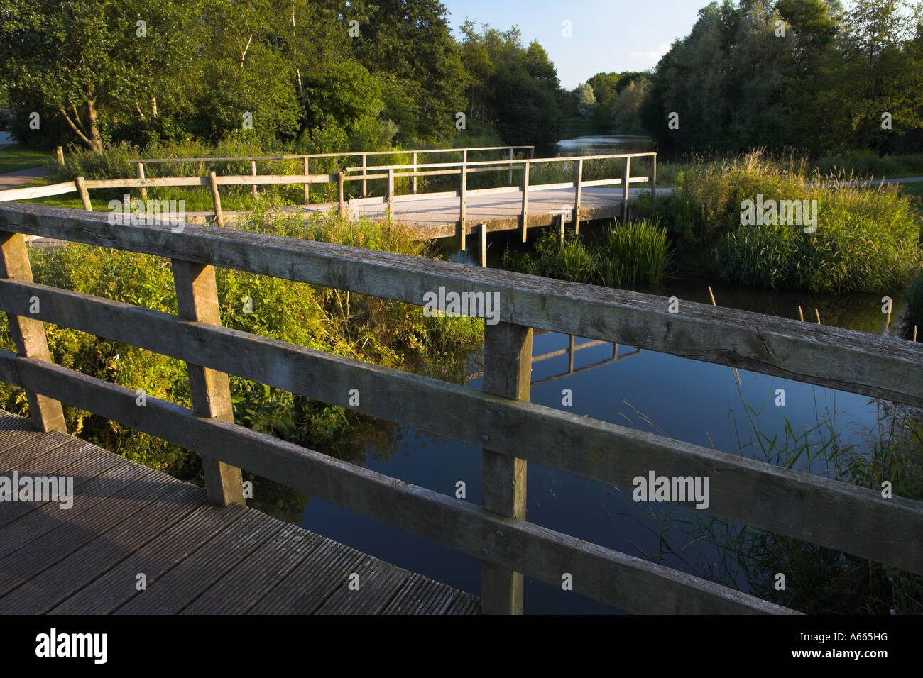 Moors Valley Country Park, Ashley Heath, Dorset Stock Photo Alamy
