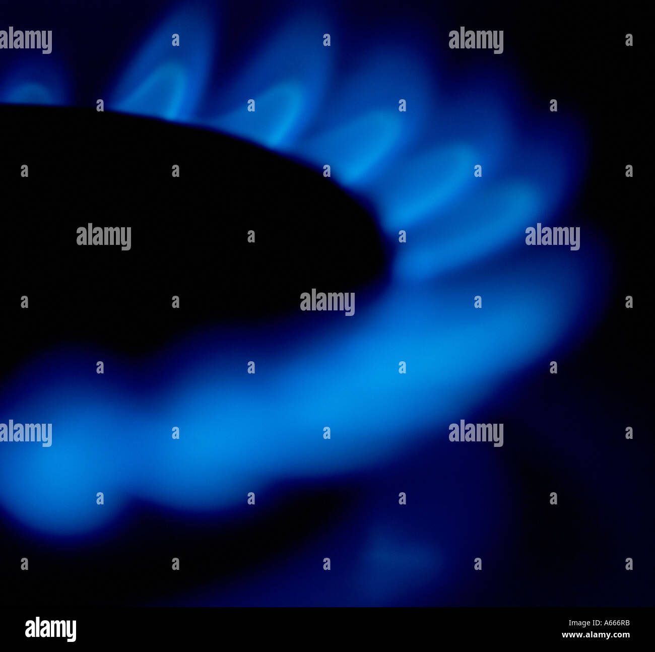 A gas ring on a hob close up Stock Photo Alamy