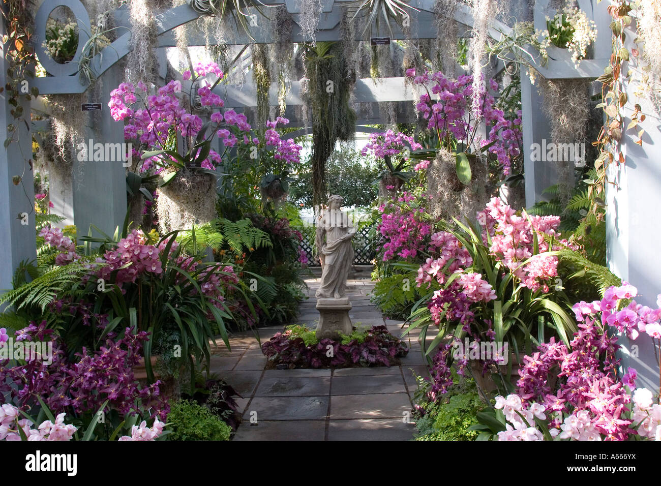 Orchid Show Stock Photos Orchid Show Stock Images Alamy