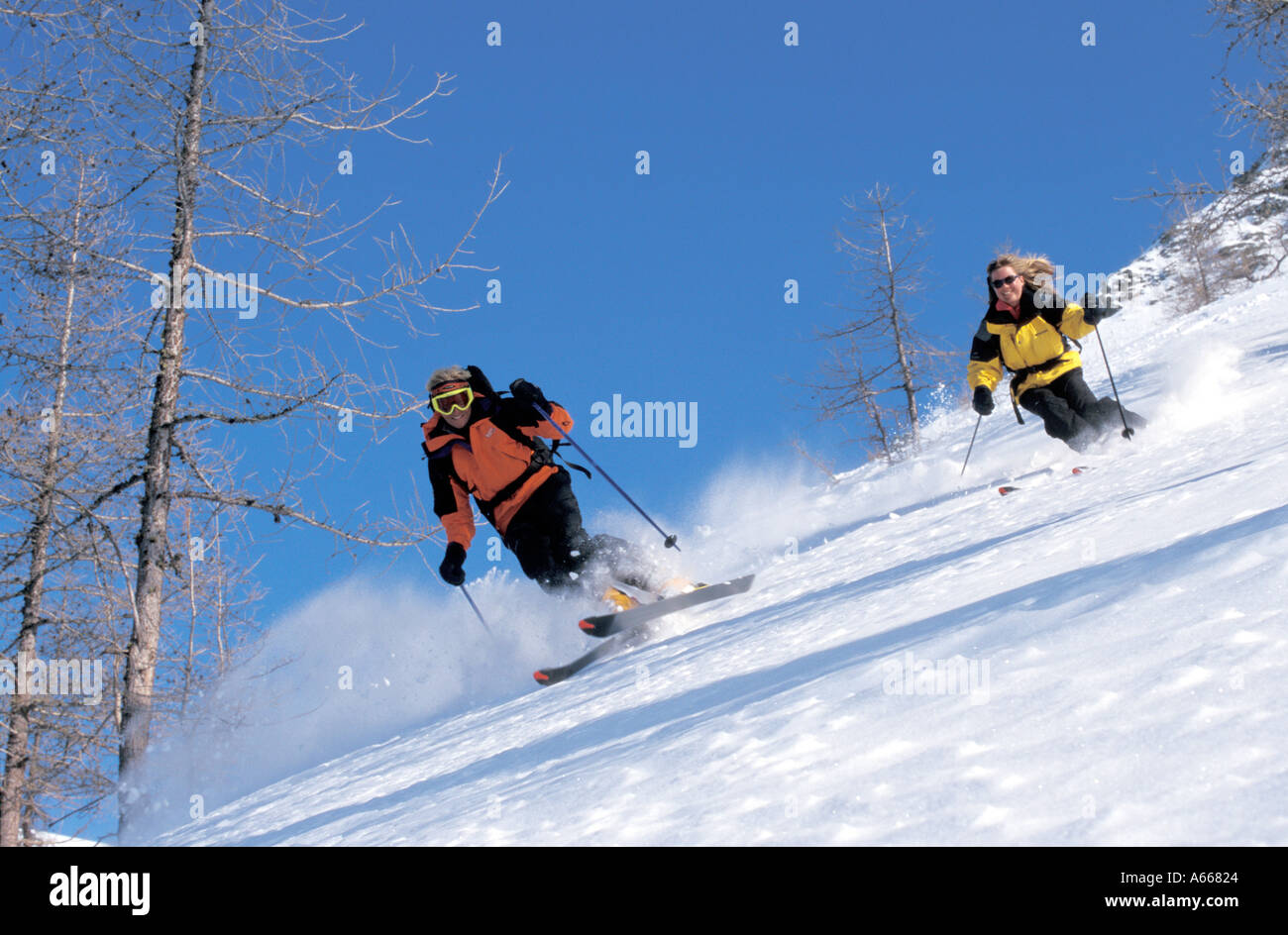Man through trees hi-res stock photography and images - Alamy