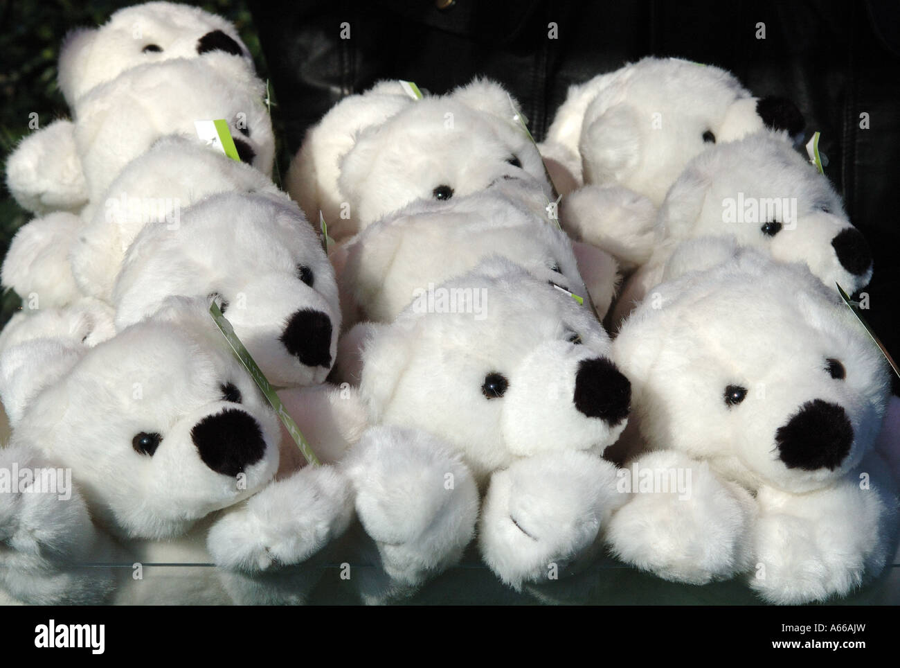 cuddly toy zoo