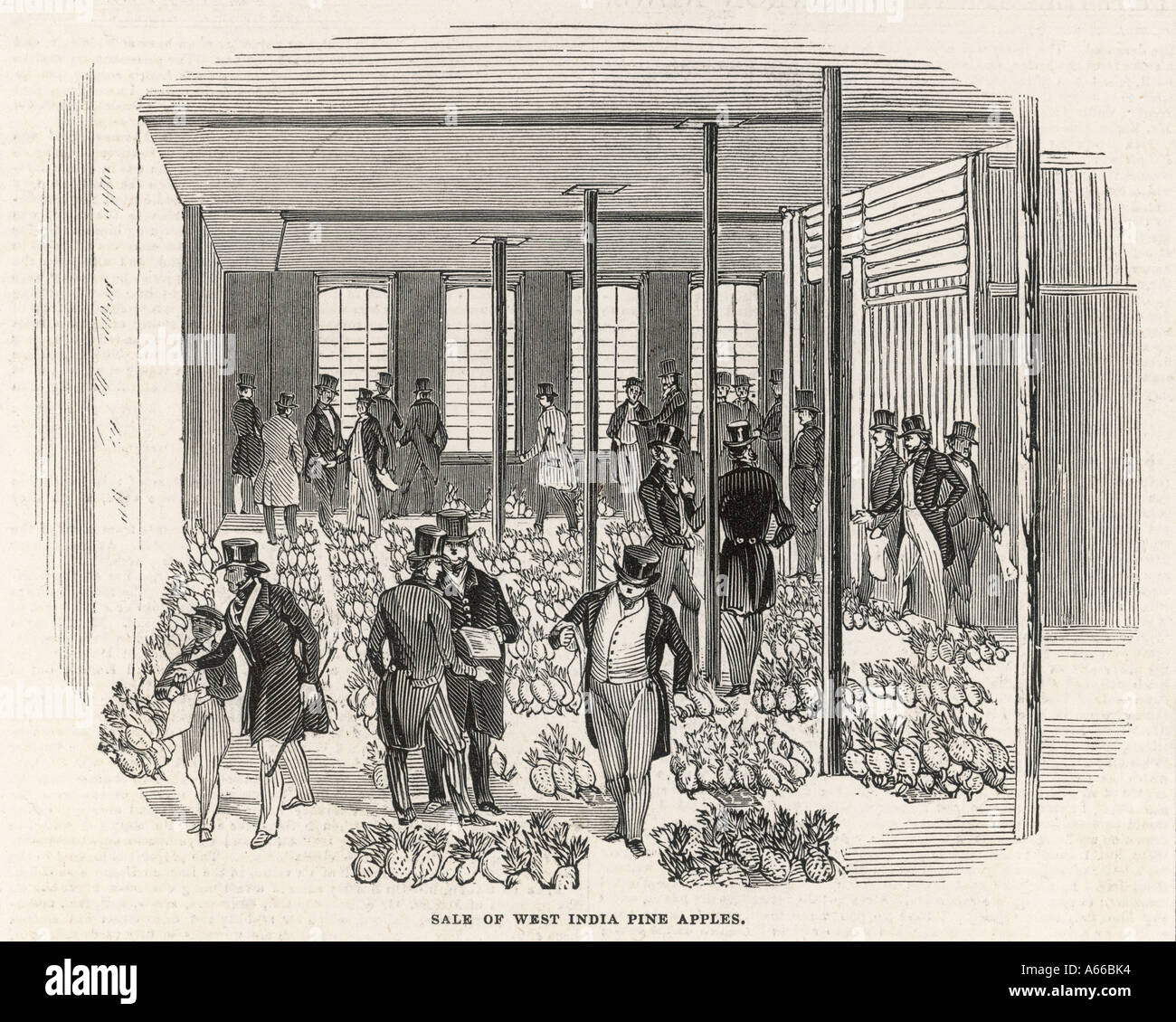 Pineapples Sold London Stock Photo Alamy