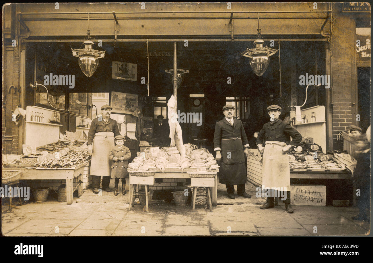 Historical fish hi-res stock photography and images - Alamy