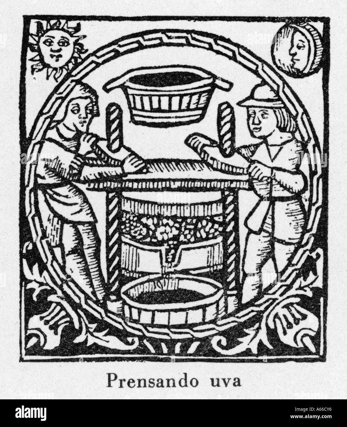 Pressing grapes hires stock photography and images Alamy