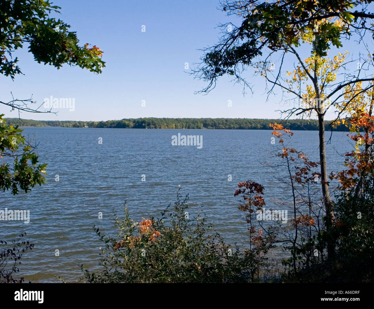 View of Lake Allegan from the woods Stock Photo Alamy