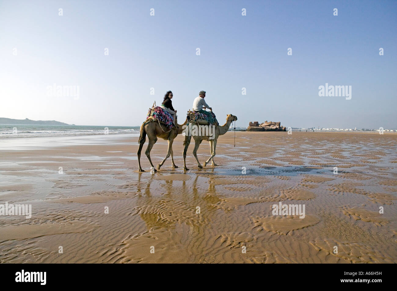 tourists riding camels on the beach in the background is the Bord el berod Stock Photo