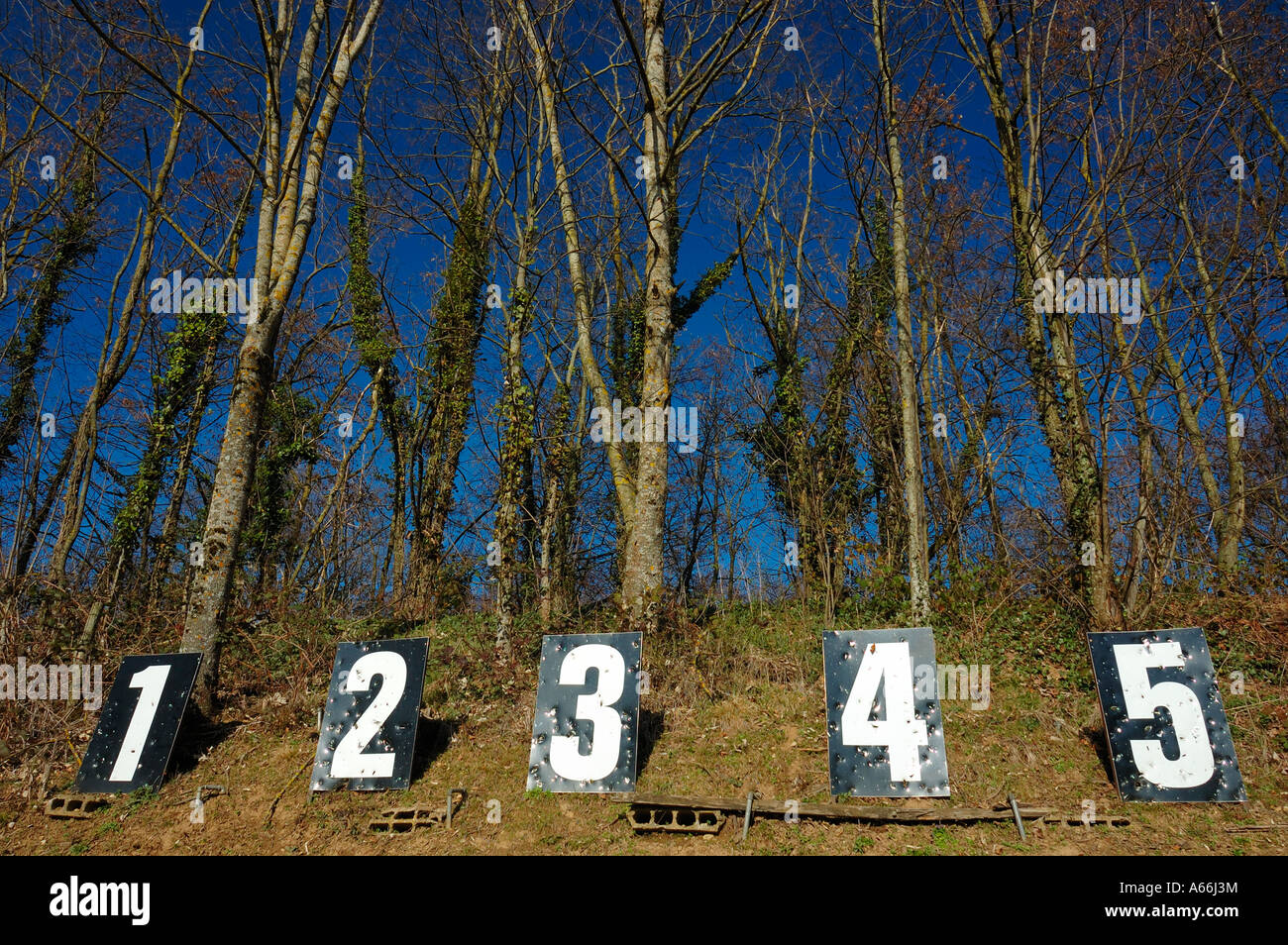 A row of numbers in woodland marking the target positions of a Swiss rifle range (stand de tir) Stock Photo