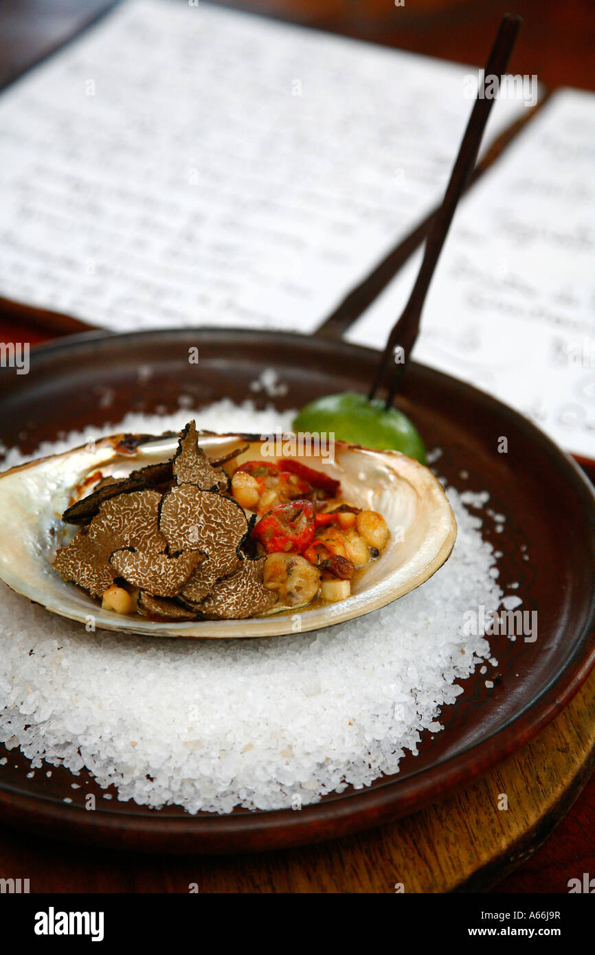 Plate of food at Playa De Los Artistas restaurant Montezuma Nicoya