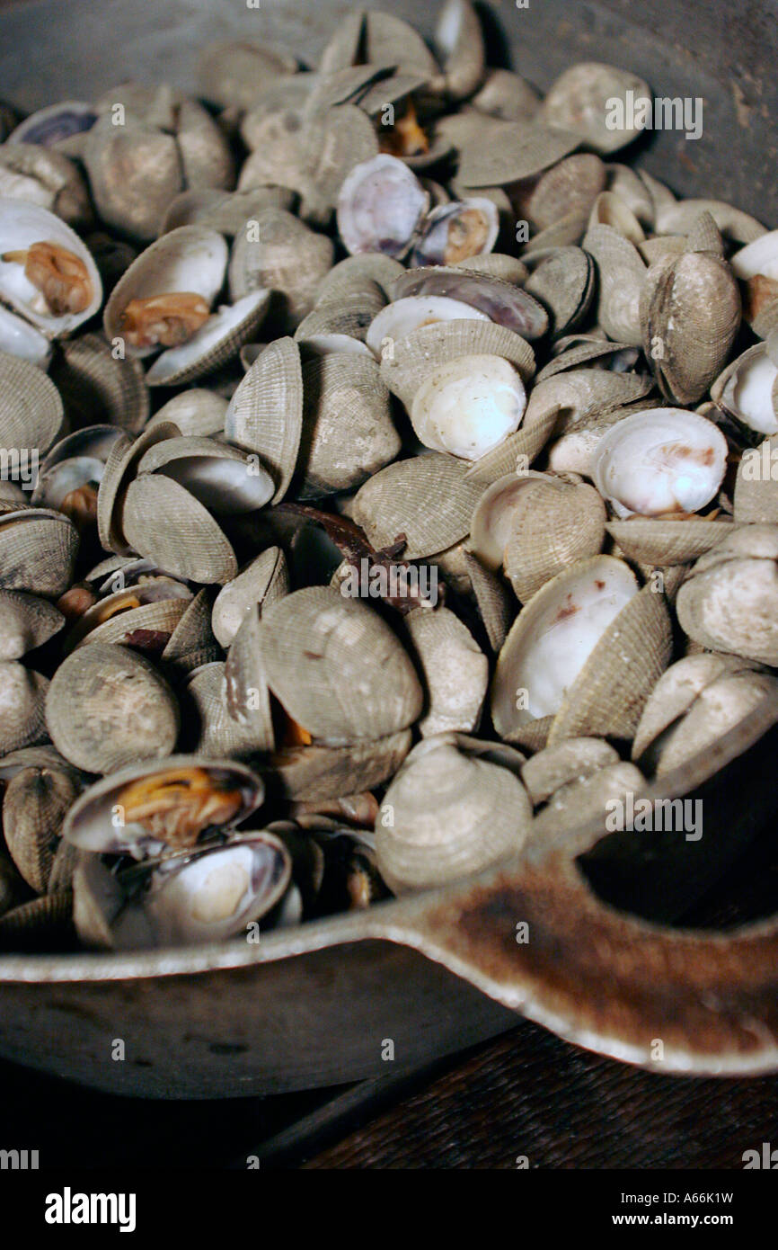 shell in a pot at Playa De Los Artistas restaurant Montezuma Nicoya