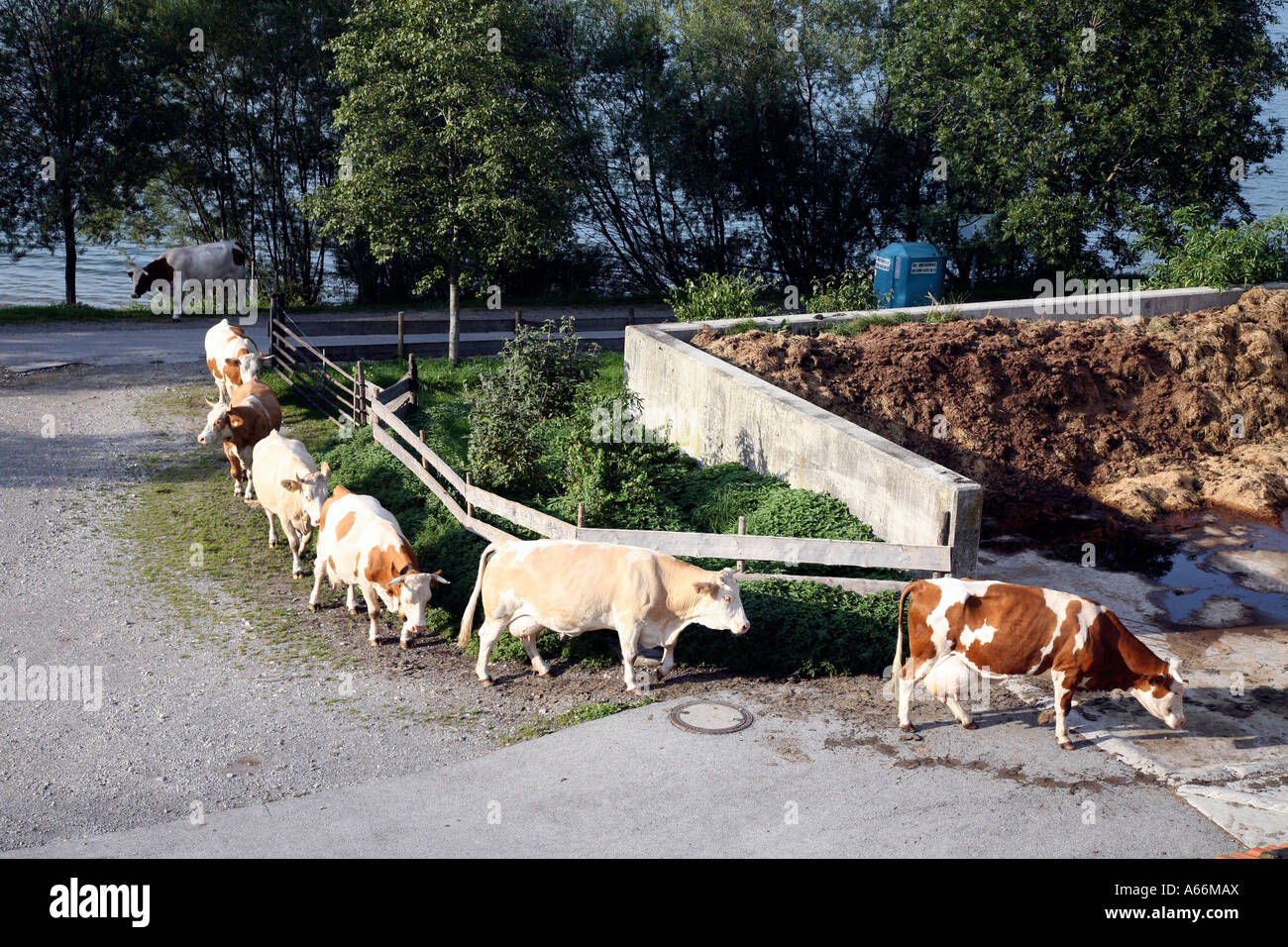 Old dairy farm hires stock photography and images Alamy