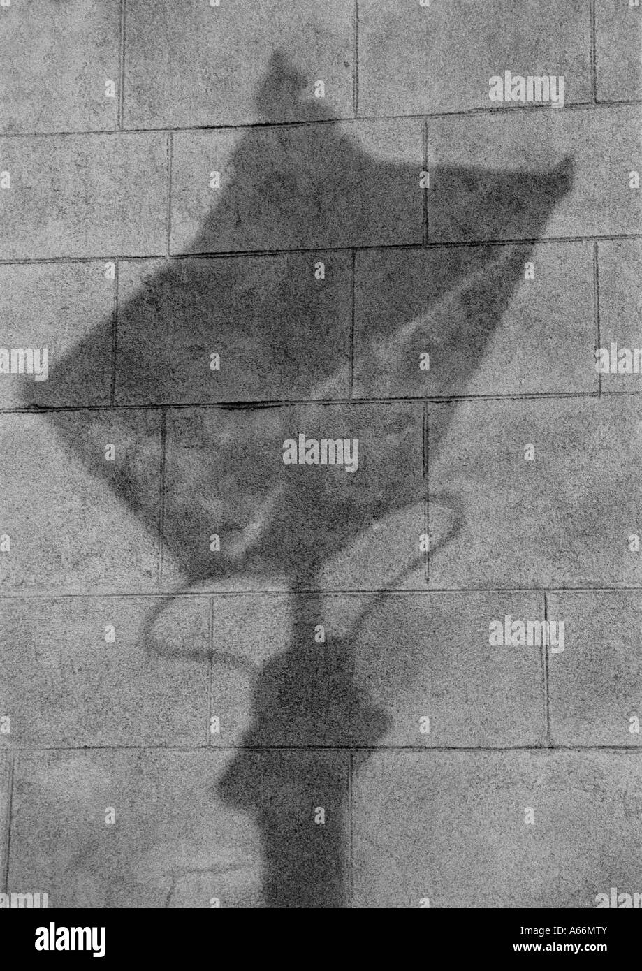 Shadow of a street lamp on the paving stones of the pathway, Oxford, UK 2004 Stock Photo