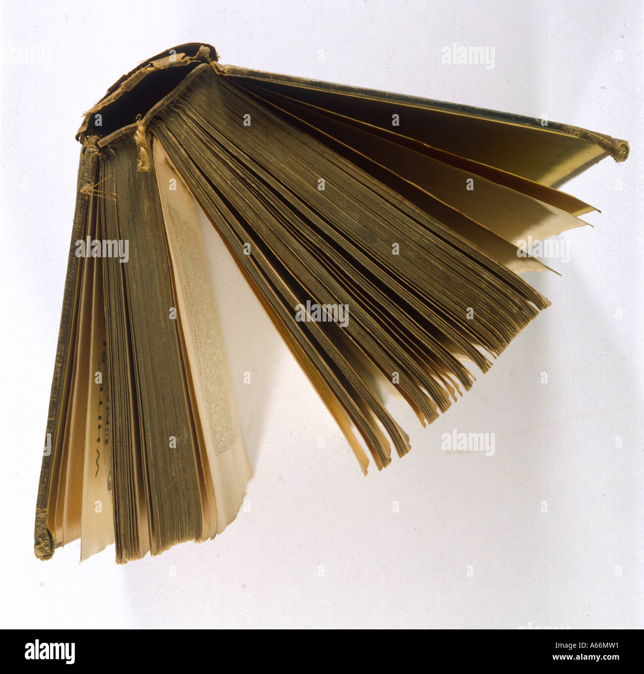 Bookbinding Example 3 Stock Photo Alamy