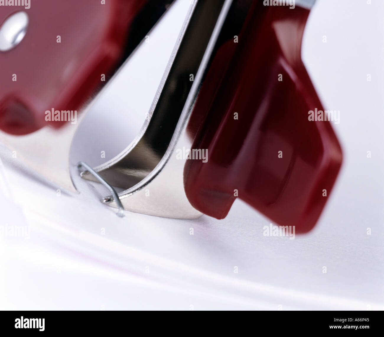 detail of staple remover removing staple from piece of paper Stock