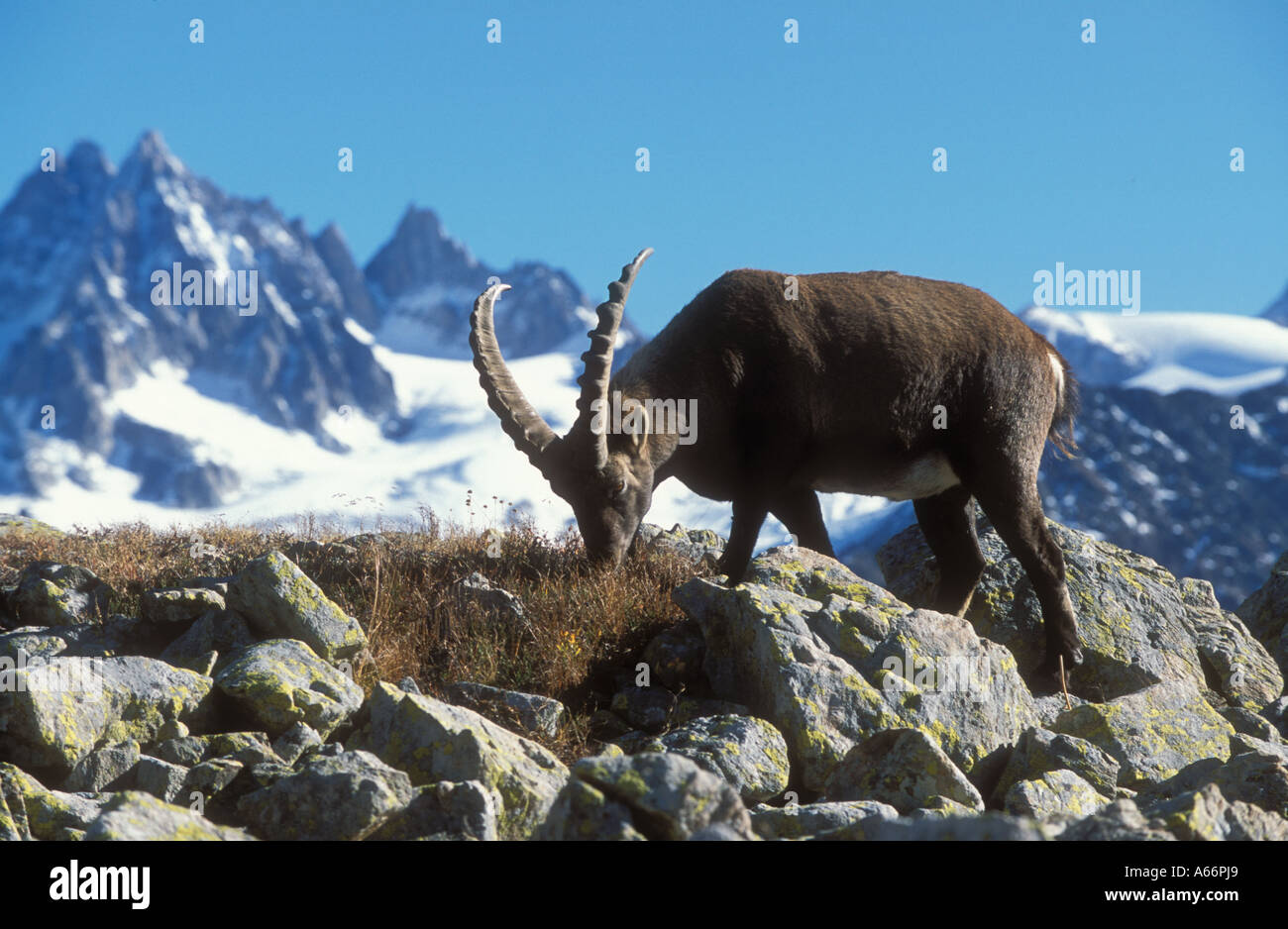 Aiguilles d hi-res stock photography and images - Alamy
