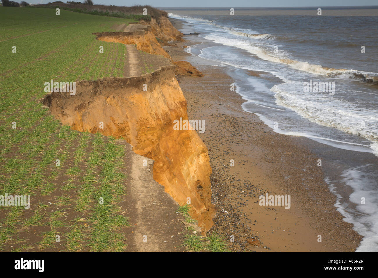 Suffolk Cliffs Footpath broken by eroding sandy cliffs Benacre, Suffolk, England Stock ...