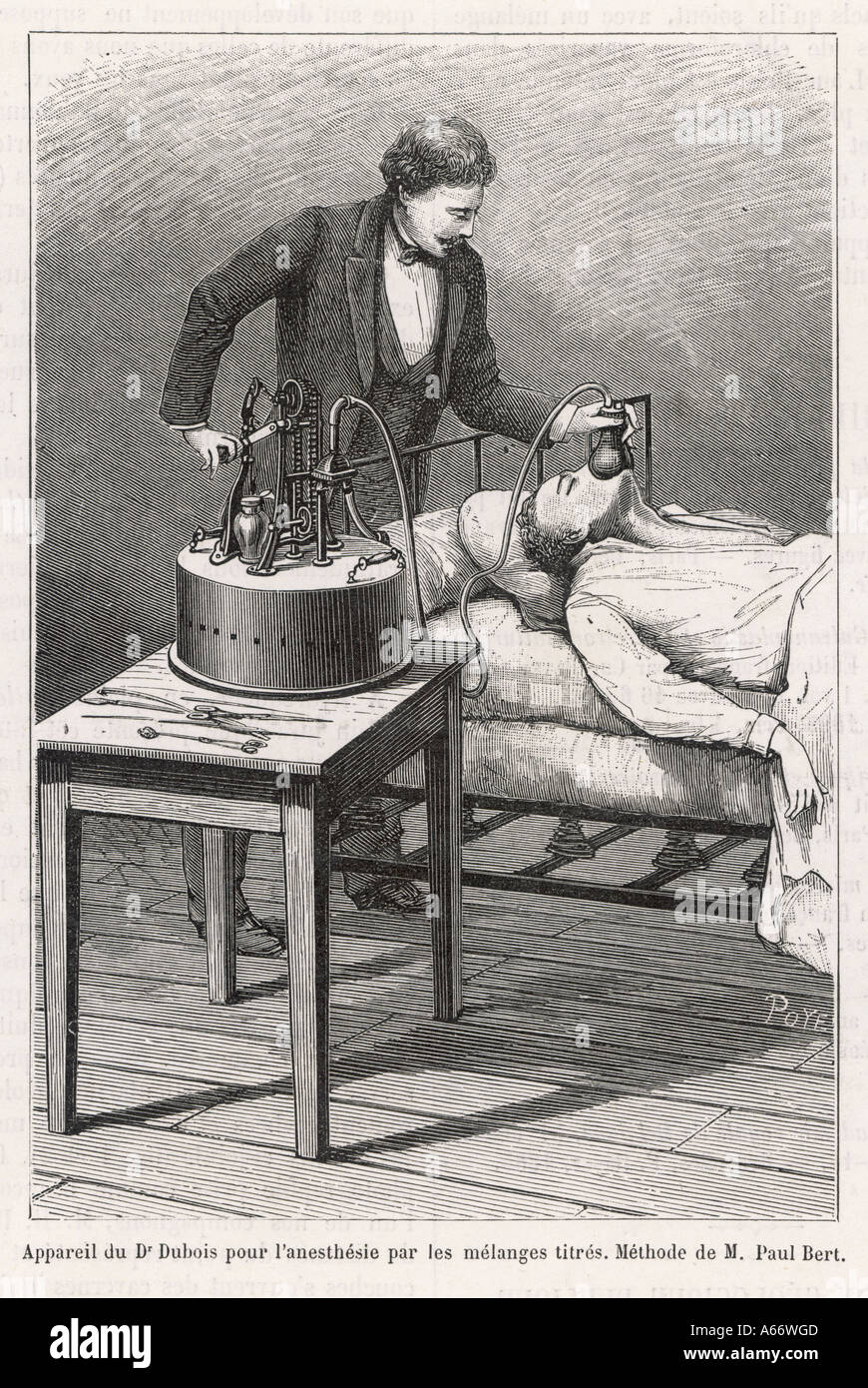 Paul bert hires stock photography and images Alamy