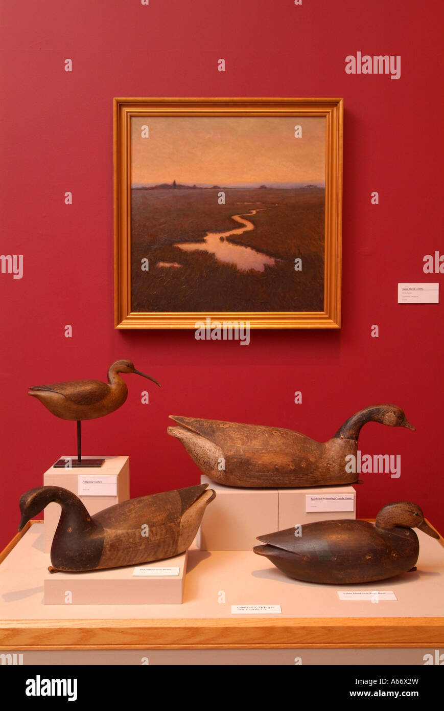 Old decoys and paintings fill the many rooms of the Ward Museum of Wildfowl Art Stock Photo